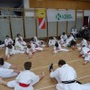 _zzkarate__6_.jpg