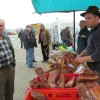 img_0831_1_1_000.jpg