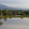 poplavetravnik.jpg