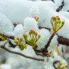 podnebne_spremembe6 shutterstock 9.jpg