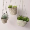 BohemiaDesignLimited_1912363_BohemiaHangingBaskets
