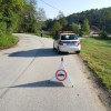 drevje005.jpg