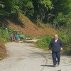 drevje012.jpg