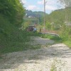 drevje014.jpg