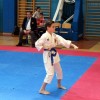 _zzzzzkarate__1_.jpg