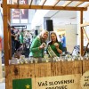 polkafest maribor