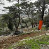 lošinj dh.jpg