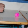 dsc_8471_000.jpg