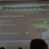 seja_16.jpg