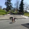 eko_dan_krsko___117.jpg