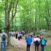 pohod27042018_2_nd.jpg
