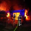senovo02.jpg