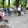 janes_walk___04.jpg