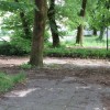 janes_walk___03.jpg