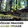 _zzzzzzzfim_pragozd_krokar.jpg