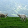 _dsc4797.jpg