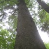 img_5420_000.jpg