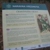 img_5421_000.jpg