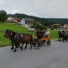 ivg09.jpg