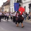 _zcvicek.jpg