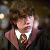 Matthew Lewis.jpg