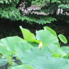 img_7213.jpg