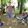 drobnica_semic__99_19.jpg