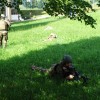 _vojska__34_.jpg