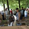 drobnica_semic__99_59.jpg
