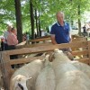 drobnica_semic__87.jpg