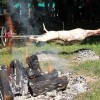 drobnica_semic__99_48.jpg