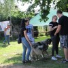 drobnica_semic__91.jpg