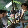 drobnica_semic__99_25.jpg