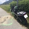 motorist1.JPG