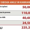 cene radeče.jpg