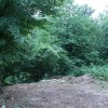 img_4053_foto_m__l____3_.jpg
