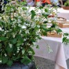okic2018_0146.jpg
