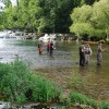 dsc_0070_000.jpg