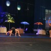 img_4760_000.jpg