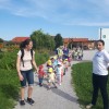 petrcki___01.jpg