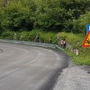 Prometni znak voznike opozarja na nevarnost.