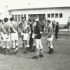 1_1960_vesel.jpg
