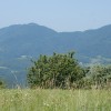 krsko__45_.jpg
