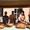 mokronog_005.jpg