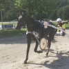 d27_dirkeigornovak.jpg