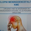 _zzklop__7_.jpg