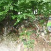 img_4845_000.jpg