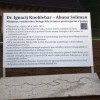 knoblehar_003.jpg