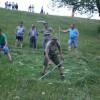 img_5337_000.jpg