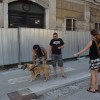 sokolc.jpg